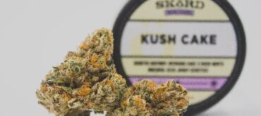 buying cannabis indica online